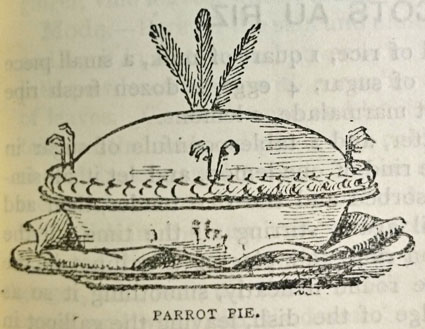 parrot pie beeton 88